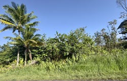 OLIANA DR, Pahoa, HI 96778