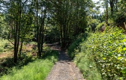 Armstrong Rd, Scappoose, OR 97056