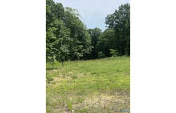 42 Watson Grande Way, Owens Cross Roads, AL 35763