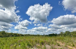 Nc-43, Macon, NC 27551