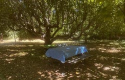 236 &240 Orchard Way, Myers Flat, CA 95554