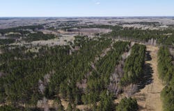 TBD (164.21AC) Maple Grove Road, Cloquet, MN 55720