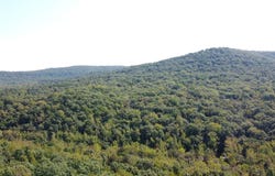 001 Forest Service Road 116, Combs, AR 72721