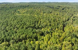 New Hope Road, Denton, NC 27239