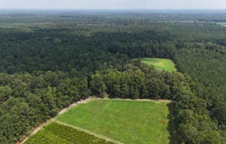 Hopewell Road, Hampton, SC 29924