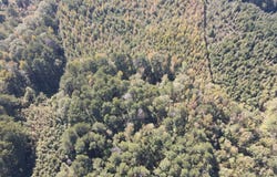 572 Harristown Road, Carthage, MS 39051