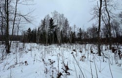 TBD #4 Koecher Road, Kerrick, MN 55756