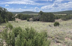 35 Burns Road, Concho, AZ 85924
