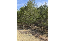 Beeler Road, Branson, MO 65616