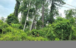 10TH Avenue, DELAND, FL 32724