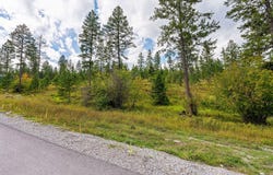 315 Skookum Road, Lakeside, MT 59922