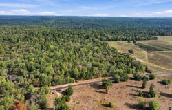 Cr. 3920, Hawkins, TX 75765