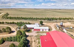 35035 Shear Road, Yoder, CO 80864