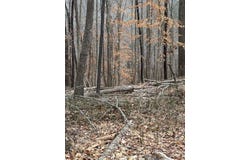 3546 Prillaman Switch Rd, Ferrum, VA 24088