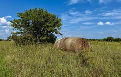 Udall Rd, Chanute, KS 66720