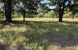 S 624 Road, Grove, OK 74344