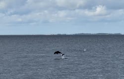 9 Hammock Cove Rd, Eastpoint, FL 32328