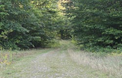1155 Dickvale Road, Peru, ME 04290