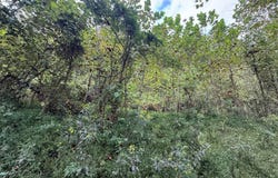 1055 River St, Gassaway, WV 26624