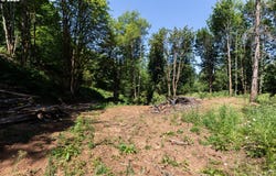 Armstrong Rd, Scappoose, OR 97056