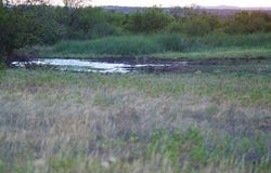 County Road, Turkey, TX 79261