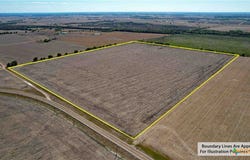 FM 1445, Cameron, TX 76520