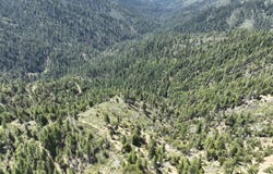 2510 FS, Hyampom, CA 96046
