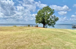 145 Harvey Loop, Many, LA 71449