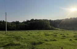 Wilkerson Road, Adolphus, KY 42120