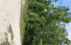 NE 808th, Old Town, FL 32680