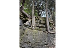 9.5 Road, Garden, MI 49835