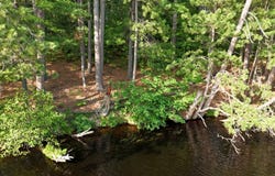 Lot MOHAWKSIN RD, Tomahawk, WI 54487