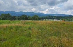 Plantation Drive, Elkins, WV 26241