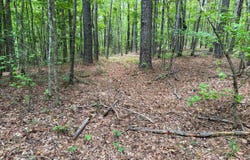 Hwy 413, Kilmichael, MS 39747