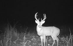 Texas Hollow Rd, Pedro, OH 45659