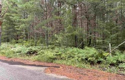 565 & 553 White Pine Drive, Brutus, MI 49716