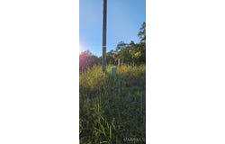 11468 Old Pike Road, Mathews, AL 36052