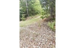 Brady Mountain Cutoff, Royal, AR 71968