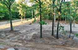 Bluebonnet Trail, Mount Vernon, TX 75457