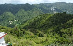 Doña Elena, Comerio, PR 00782