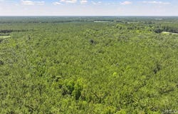 Hwy 258, Rich Square, NC 27869