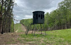 Co Rd 321 Route 5, Ava, MO 65608