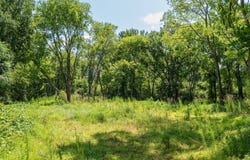 802 Packer Ave, Greenwood, SC 29646
