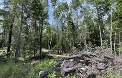Bemis Road lot: 24A, Rangeley Plt, ME 04970