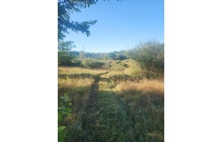 V/L Wise Road, Sheridan, MI 48884