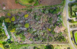 Malanani Dr, Kula, HI 96790