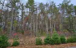 Summit Dr lot: 28, Eldred, NY 12732