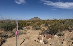 420 Trailer Rd, Terlingua, TX 79852