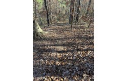 Chapel Hill Rd, Gore Springs, MS 38929