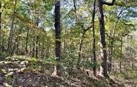 9641 Crane Drive, Bucyrus, MO 65444